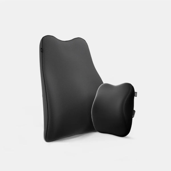 Dual Car Comfort Combo