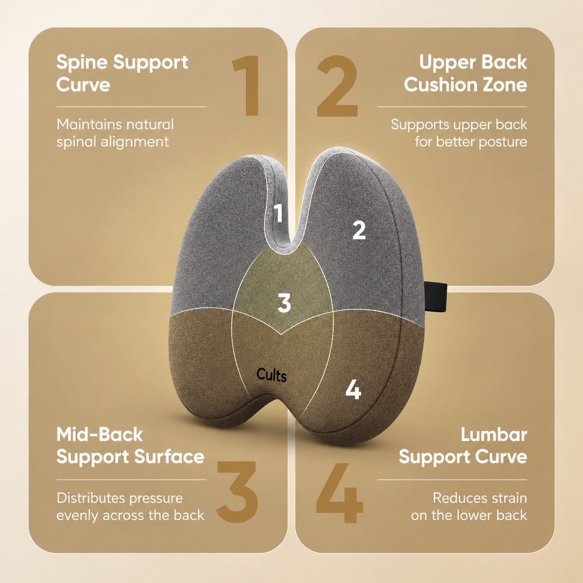 An infographic-style product explainer showing a U-shaped back support pillow on a beige background, with four labeled zones: spine support curve, upper back cushion zone, mid-back support surface, and lumbar support curve. The pillow is shown in gray, taupe, and brown sections with white numbers 1 through 4 indicating the zones.